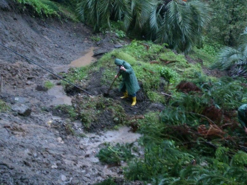 Стихия в батумском ботаническом саду  