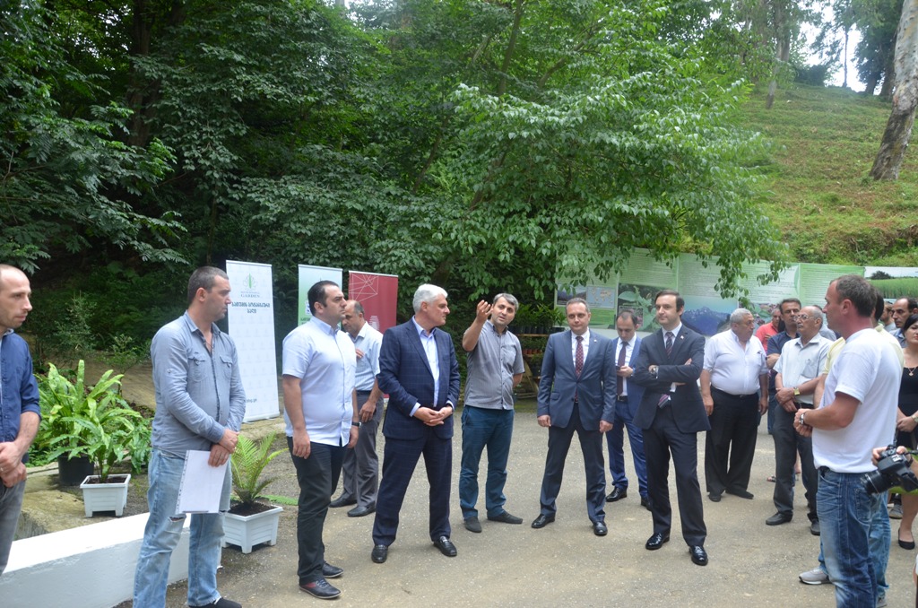 ეგზოტური გვიმრების პირველი გამოფენა ბოტანიკურ ბაღში